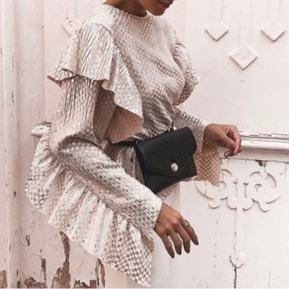 Zara | Tops | Zara Metallic Ruffled Long Sleeve Top | Poshmark